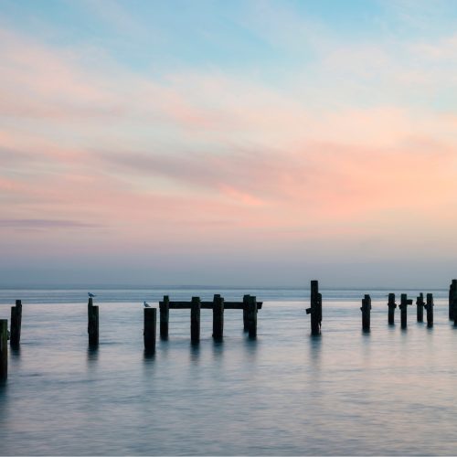 Blog 3 Image