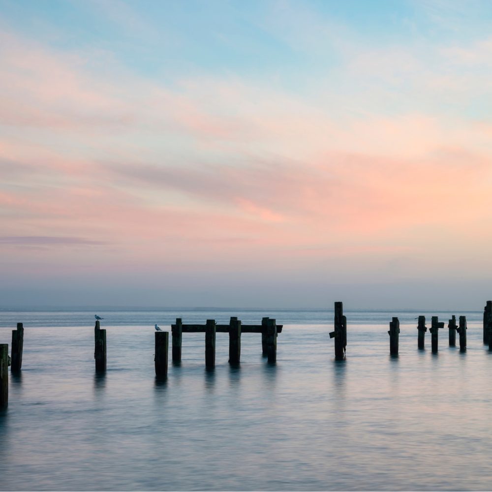 Blog 3 Image