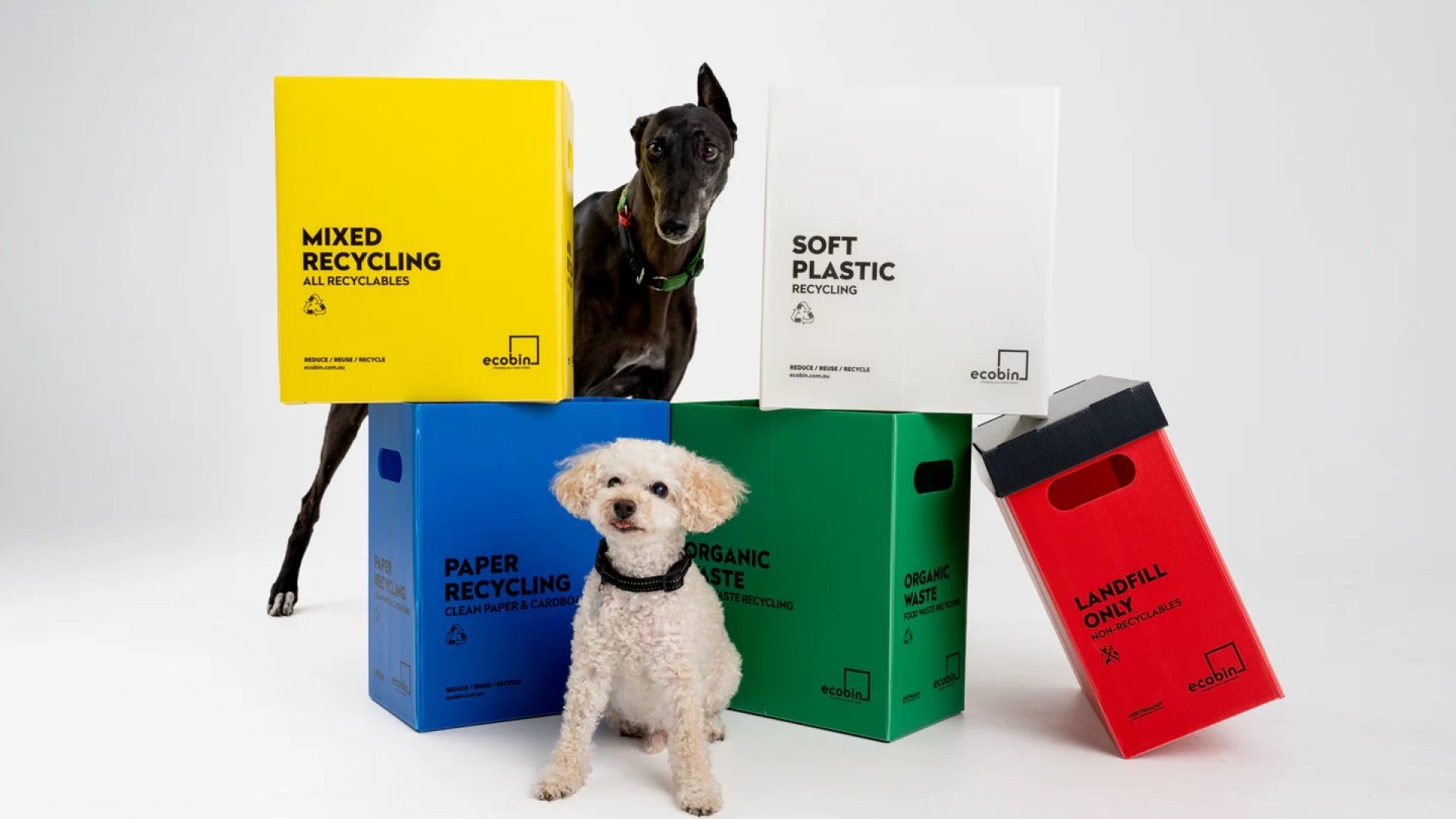 Eco Bin Blog 2 Image