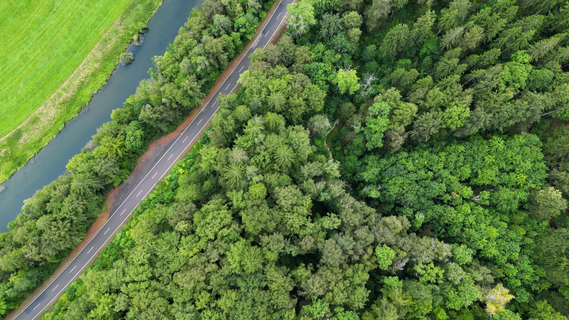 Environmental Pathways image