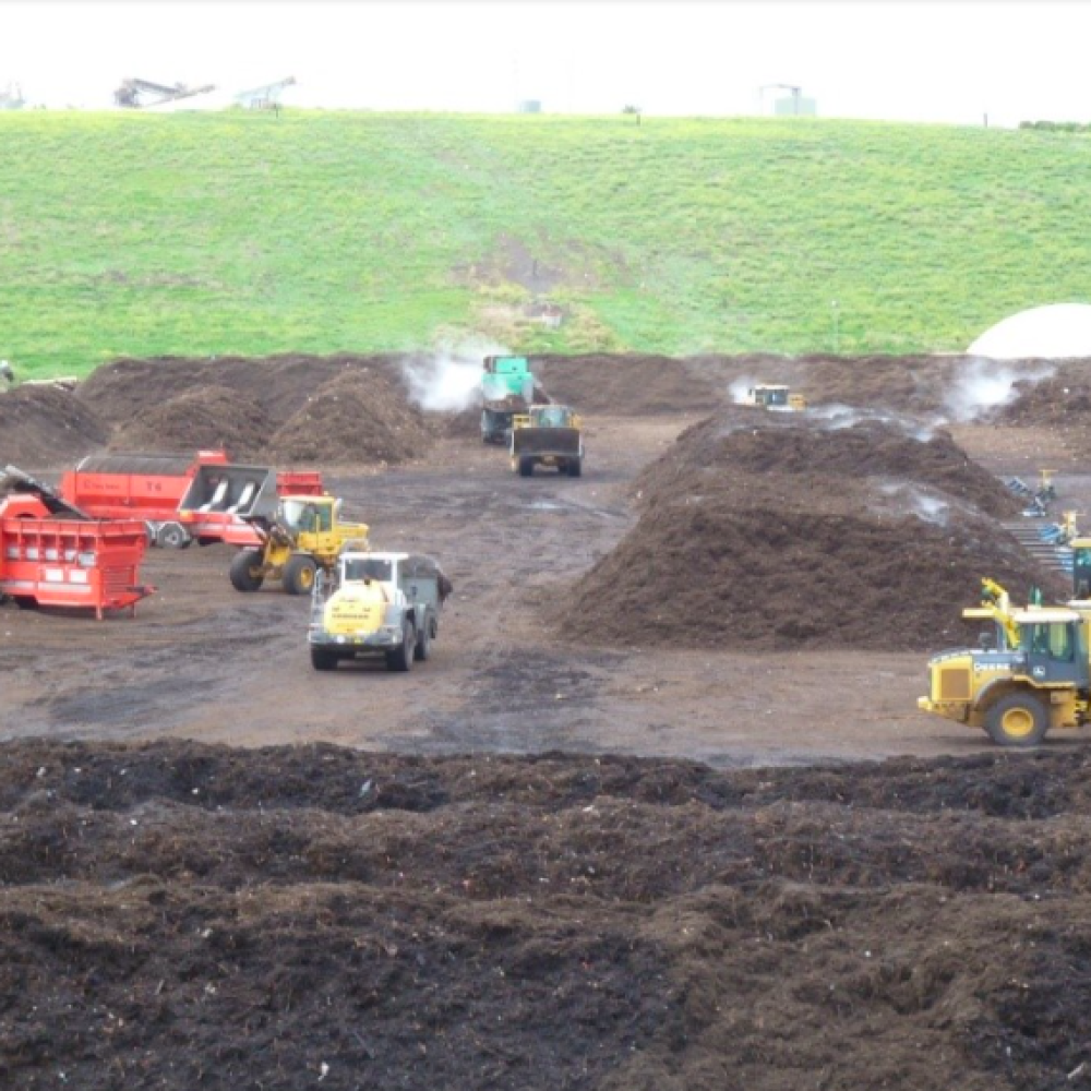 Pinegro Project Image
