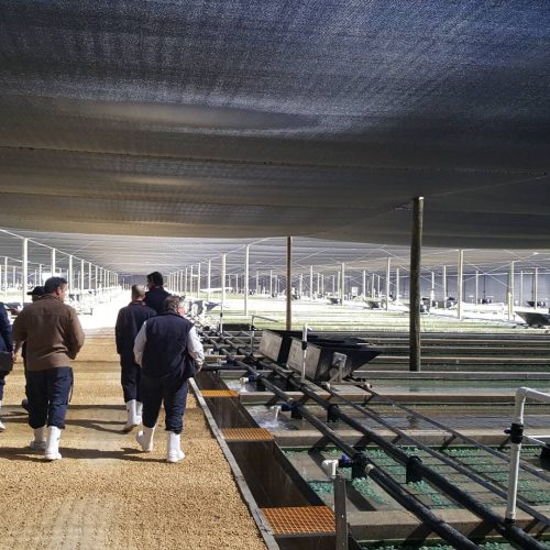 Yumbah Aquaculture Project Image